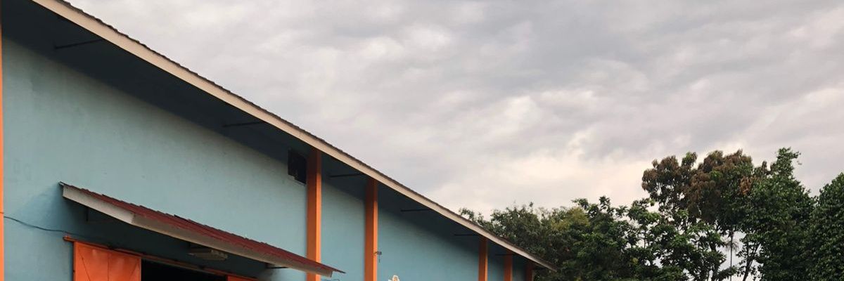 Twitter banner for @gfrdausy