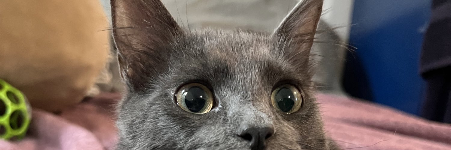 cookie27_'s profile banner image