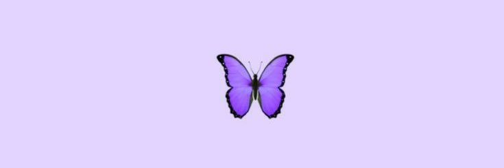 amanda_piires's profile banner image