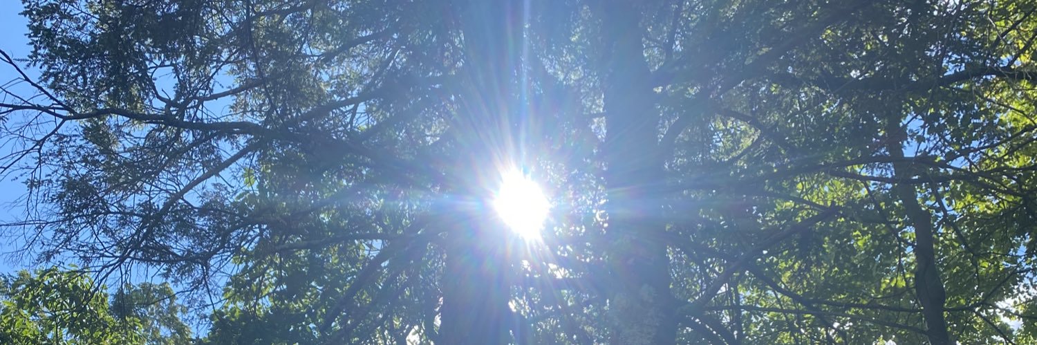 daaniielledee's profile banner image