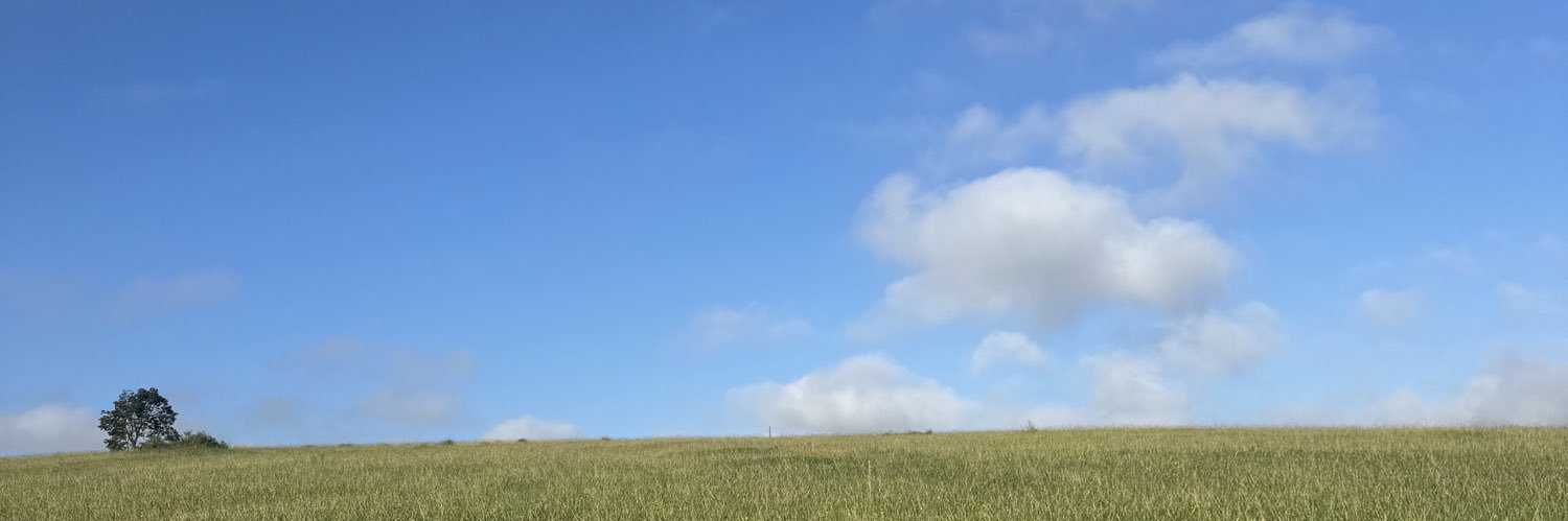 davidsiqueirap4's profile banner image