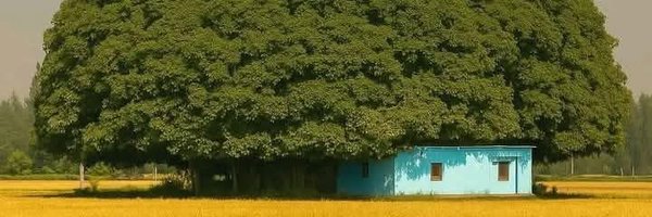 baazzook Profile Banner