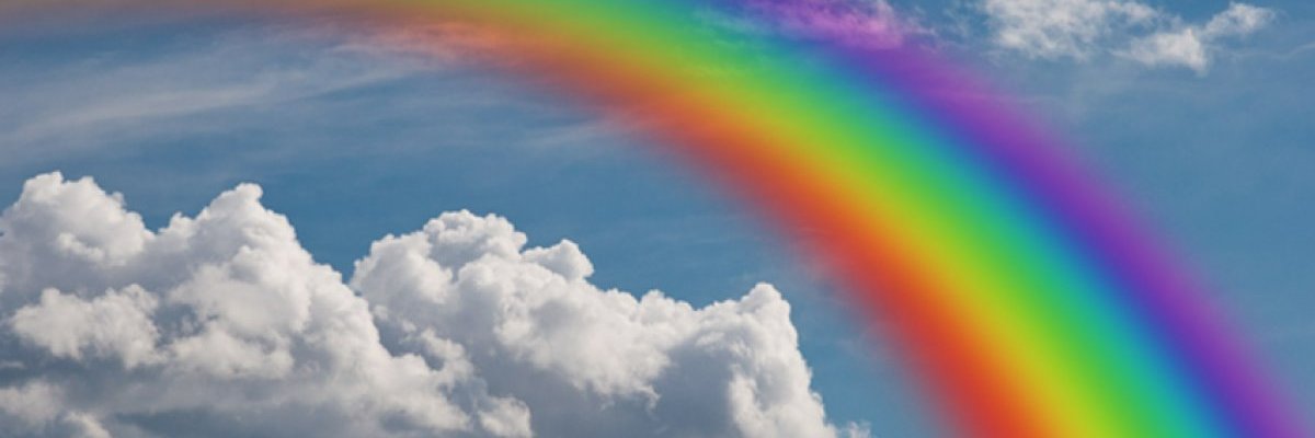 CollectOia's profile banner image