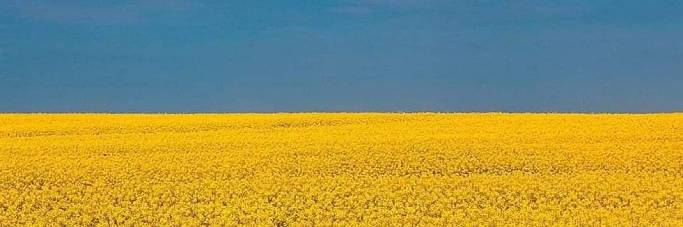 TreClam 🇺🇲🇺🇦 banner