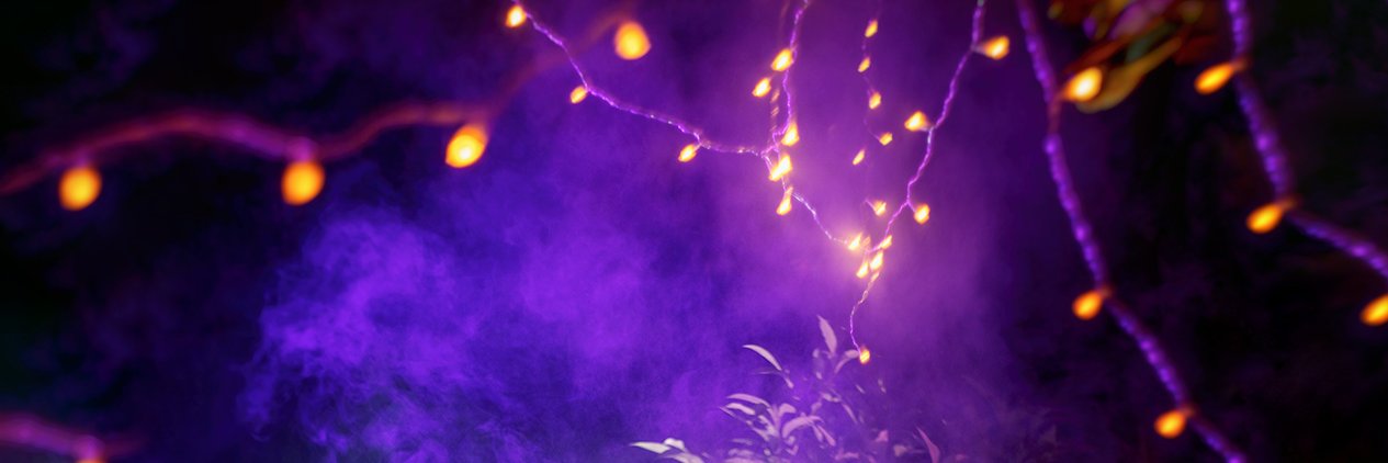 Mara Morwing🇺🇦 banner