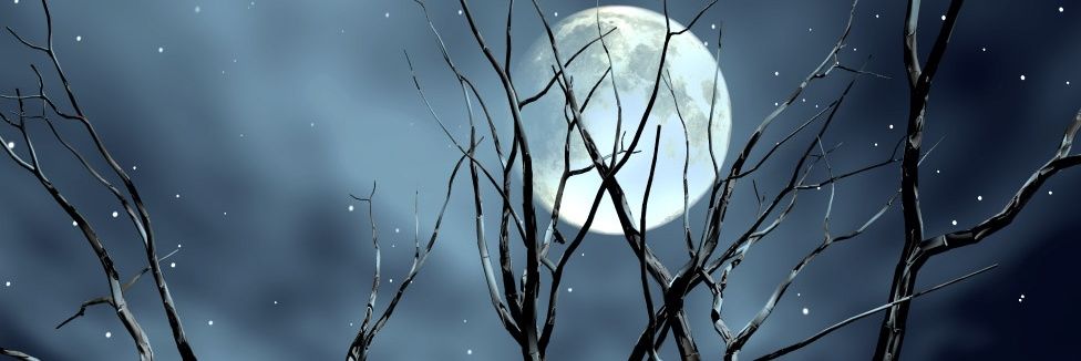 more3909's profile banner image