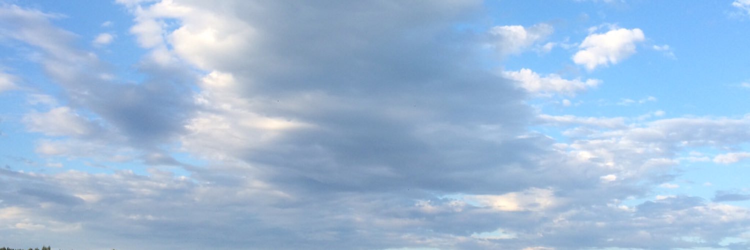 MagdalenaEricss's profile banner image