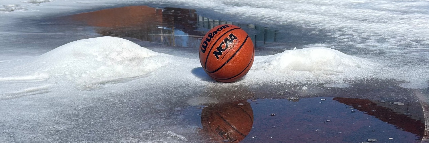 Shea (Sheahan) Gray CT banner