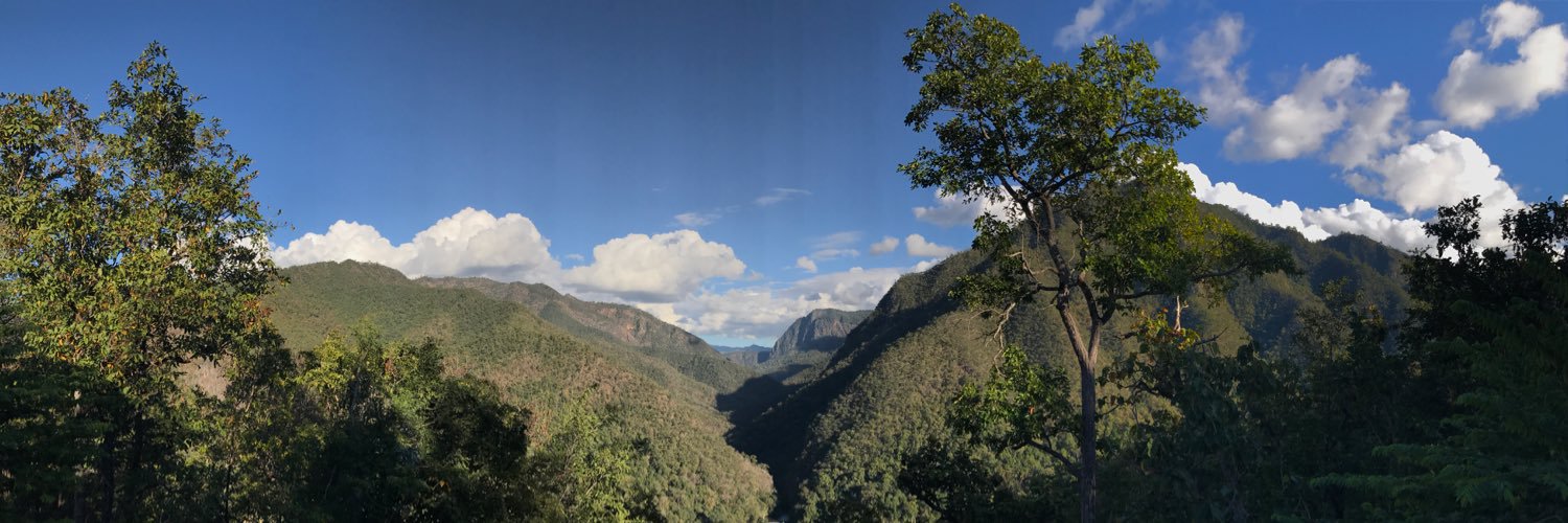 Florian Witulski banner