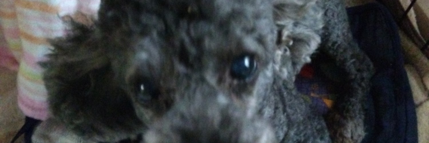 taro_physics555's profile banner image