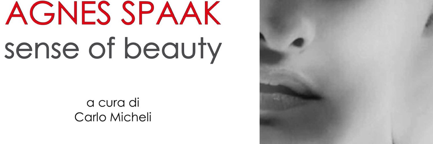 AgnesSpaak's profile banner image