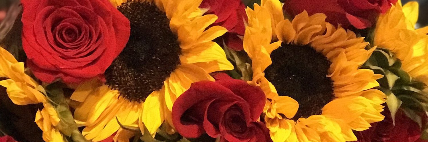 BiG TAURUS 💜 banner