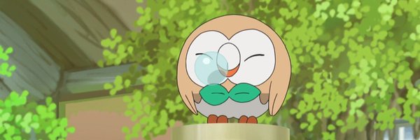 rowster__ Profile Banner