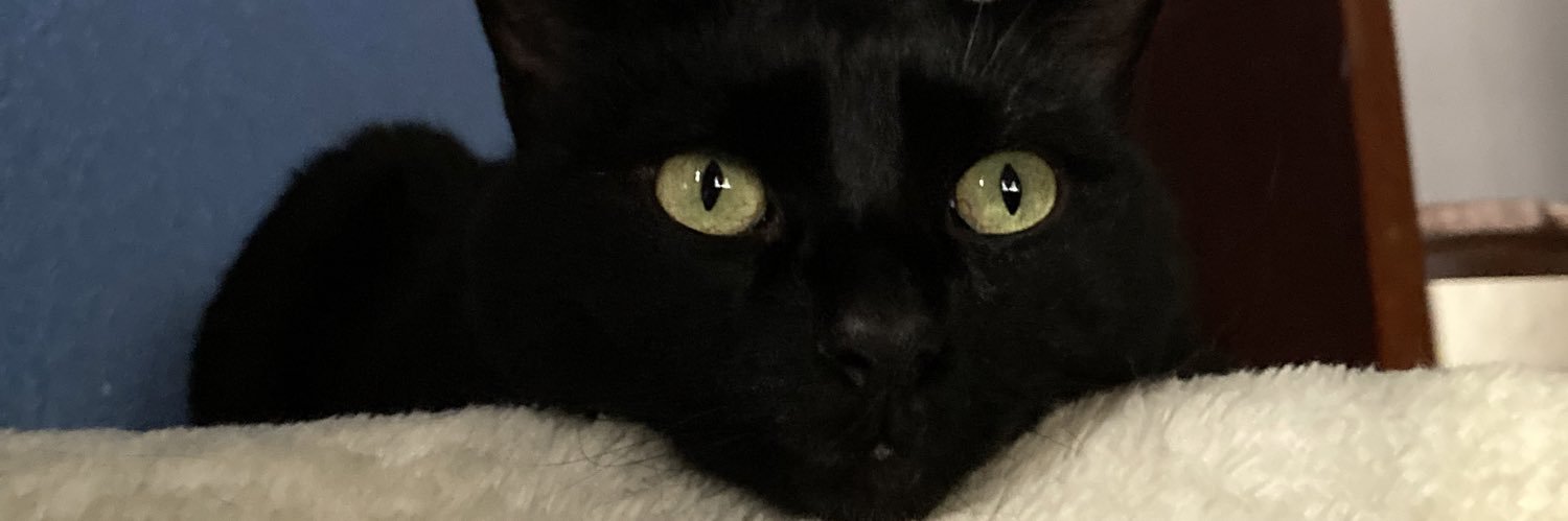 Diego Guzmán banner