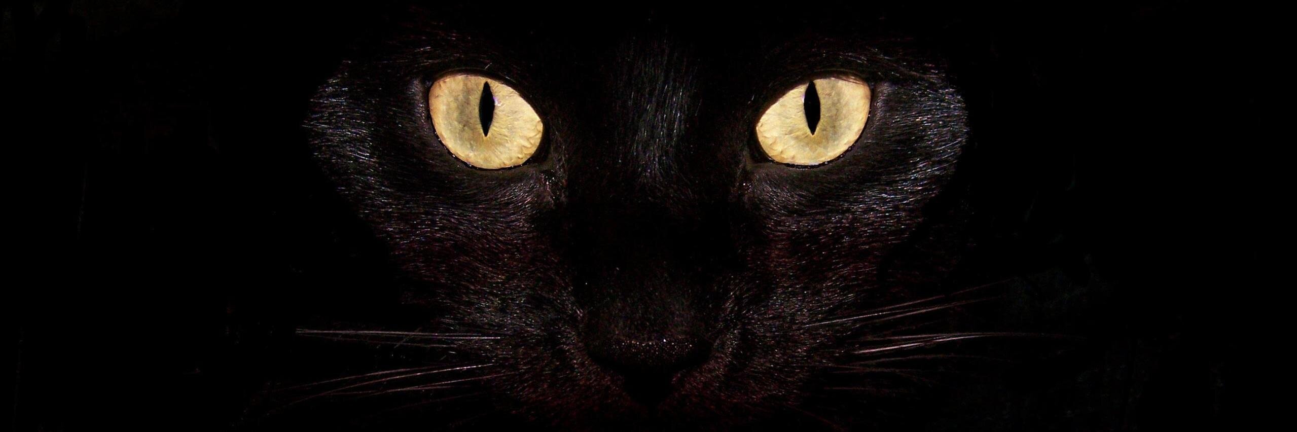 B3tsab3l's profile banner image