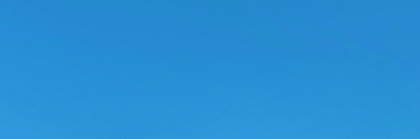 ycarolina_'s profile banner image