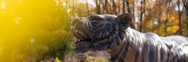 TowsonU Profile Banner