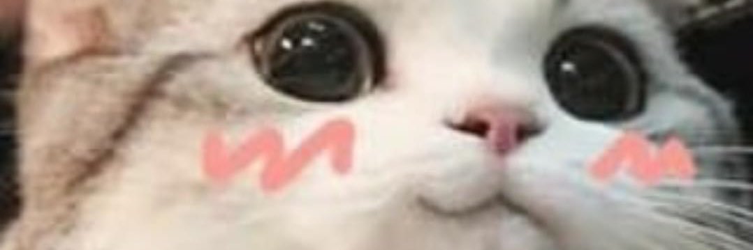 MikeStephSmokin's profile banner image
