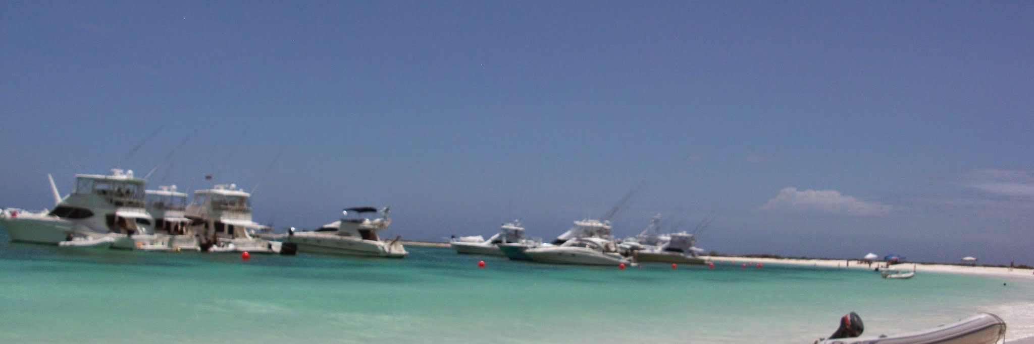 andreazl's profile banner image