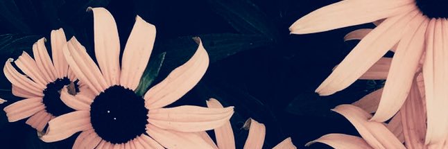_CallMeLovely's profile banner image