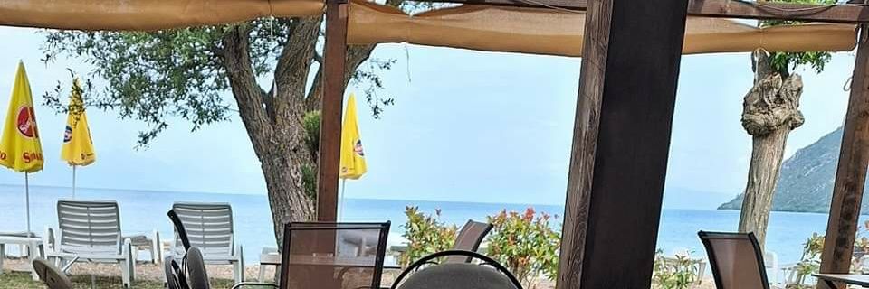Predraggorgevic's profile banner image