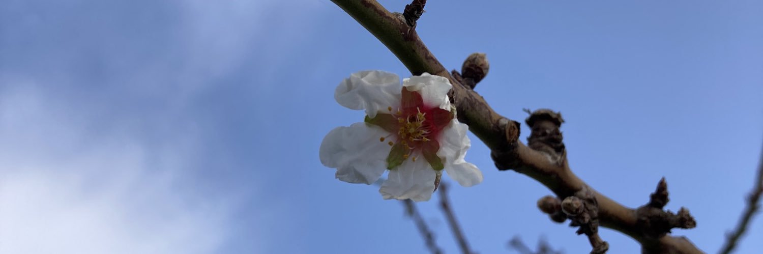 Georgina Bargalló banner