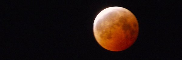 ELDONPELUD0 Profile Banner