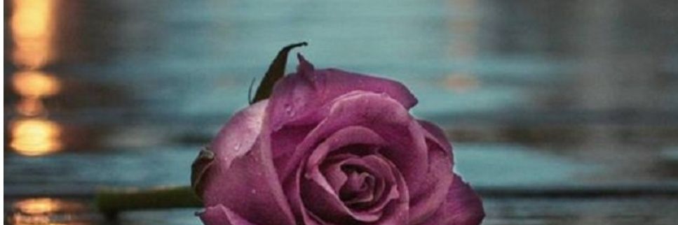 خَآإطٌرِيُ فـ ٌـيگ. banner