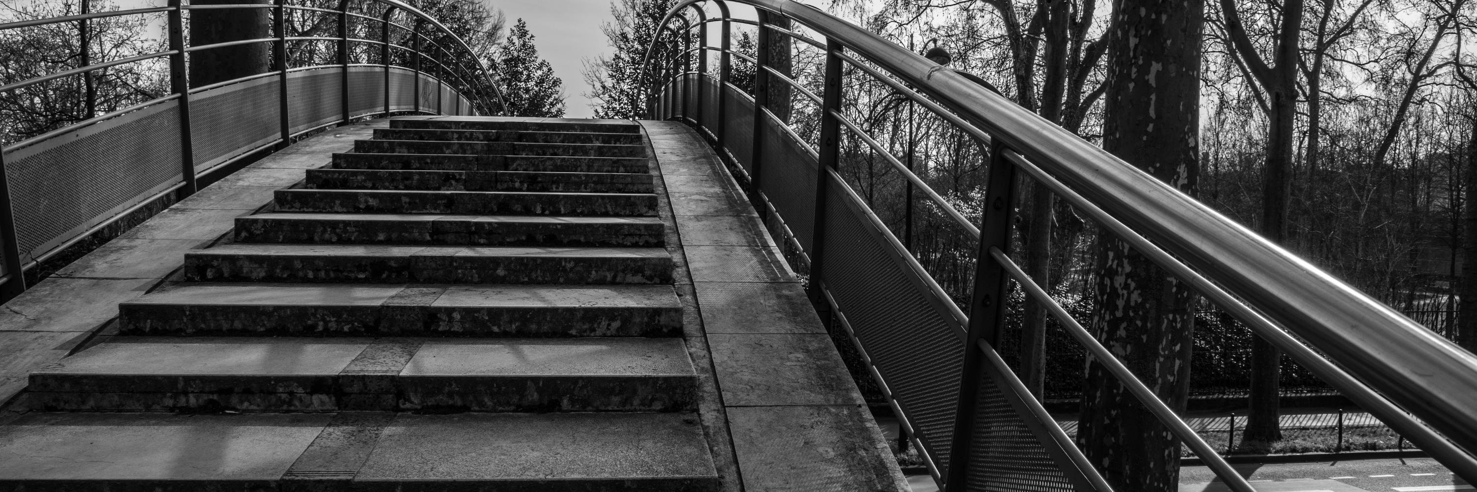 Charlotte Emlinger banner