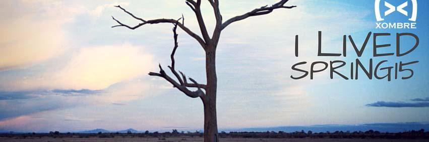 Xombre banner
