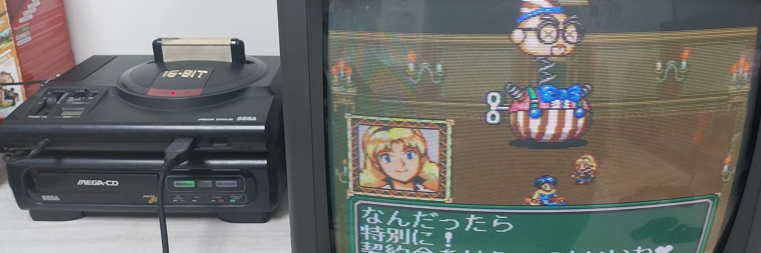 Insane Mega-CD Facts's banner