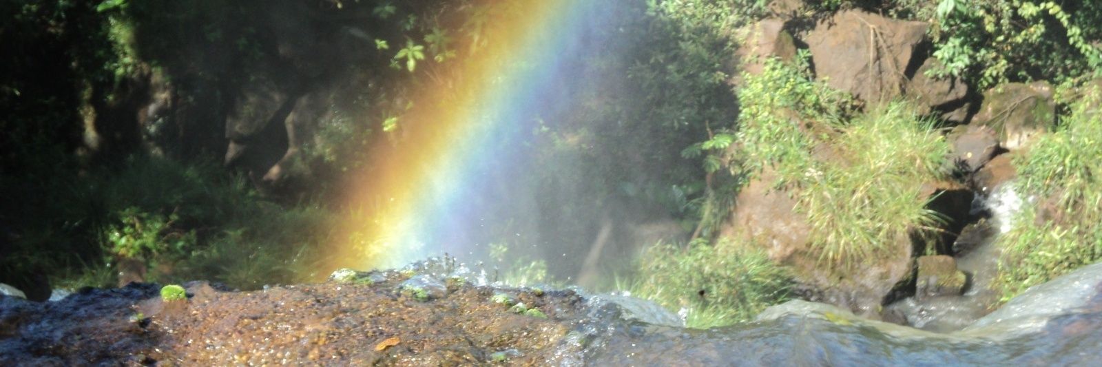 m9ait's profile banner image
