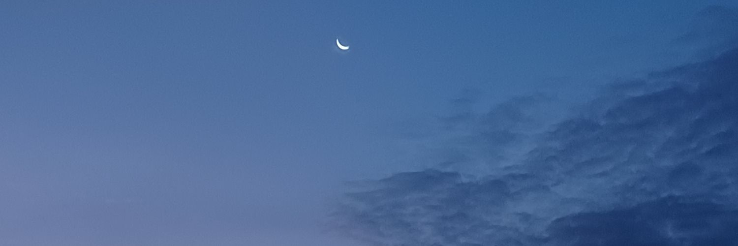 Lívia. ☭ FORA MELO banner