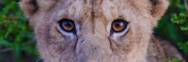 hautob's profile banner image