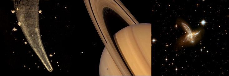 tricky ⋆.˚ ᡣ𐭩 .𖥔˚ 🦊 banner