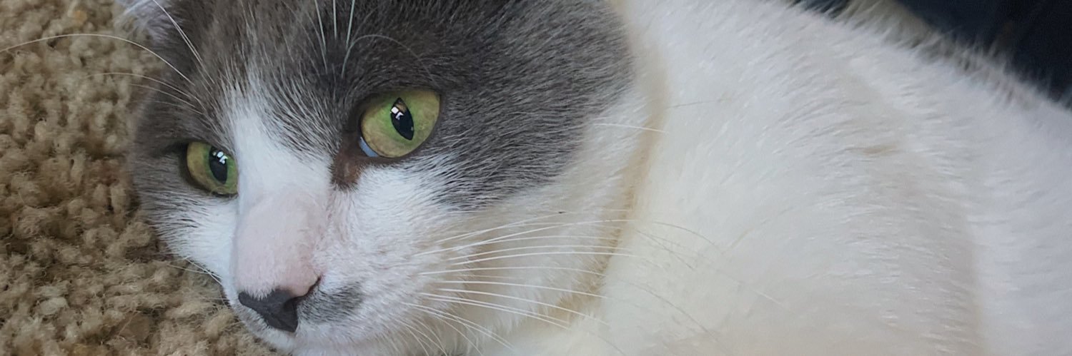 taylorralmighty's profile banner image