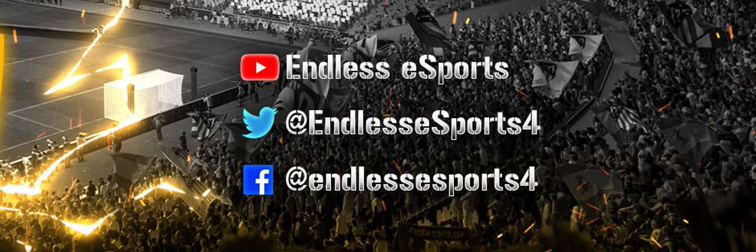Endless eSports Profile Banner