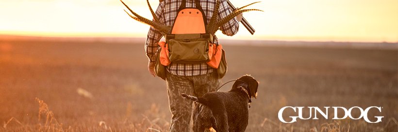 GunDog Magazine banner