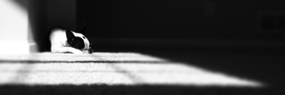 jscrab71's profile banner image