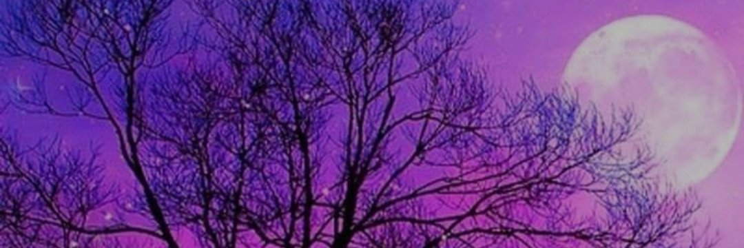 ♫∞♡** banner