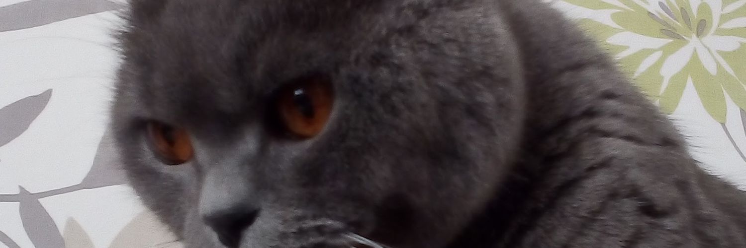 Basildon bond banner