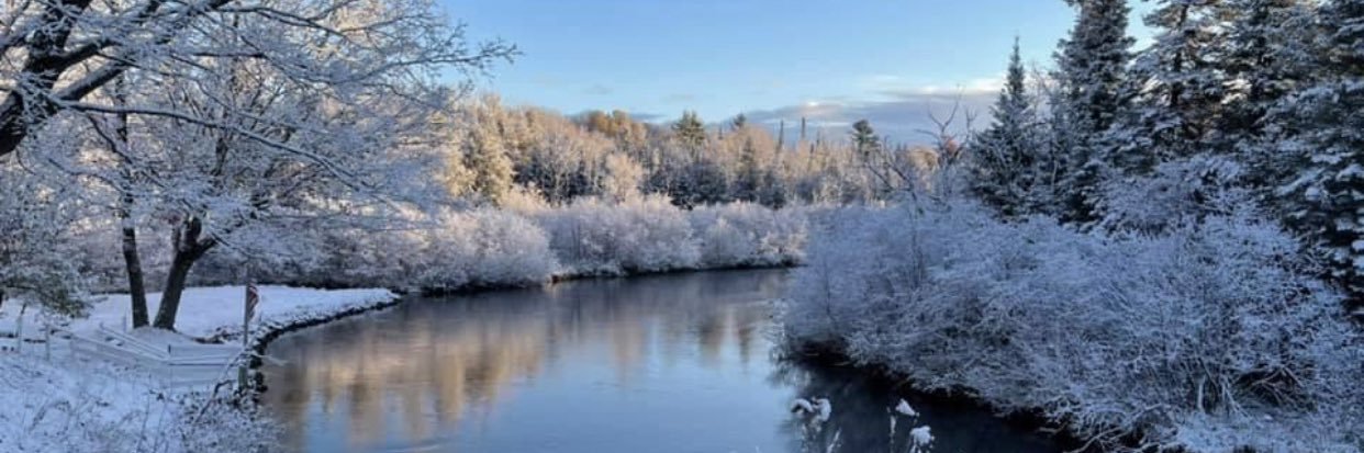 PromoteMichigan banner