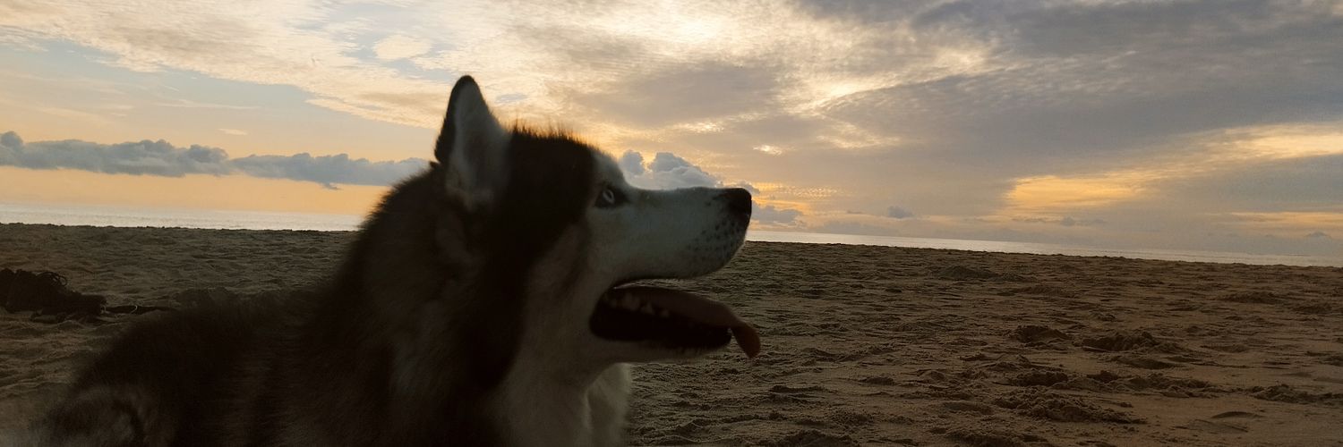 rfari_21's profile banner image