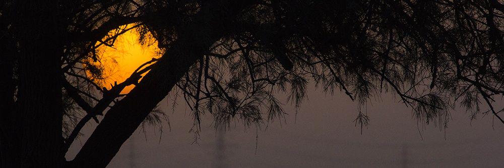 battar9's profile banner image