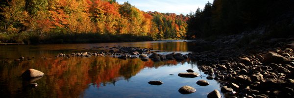 jackiembarr Profile Banner