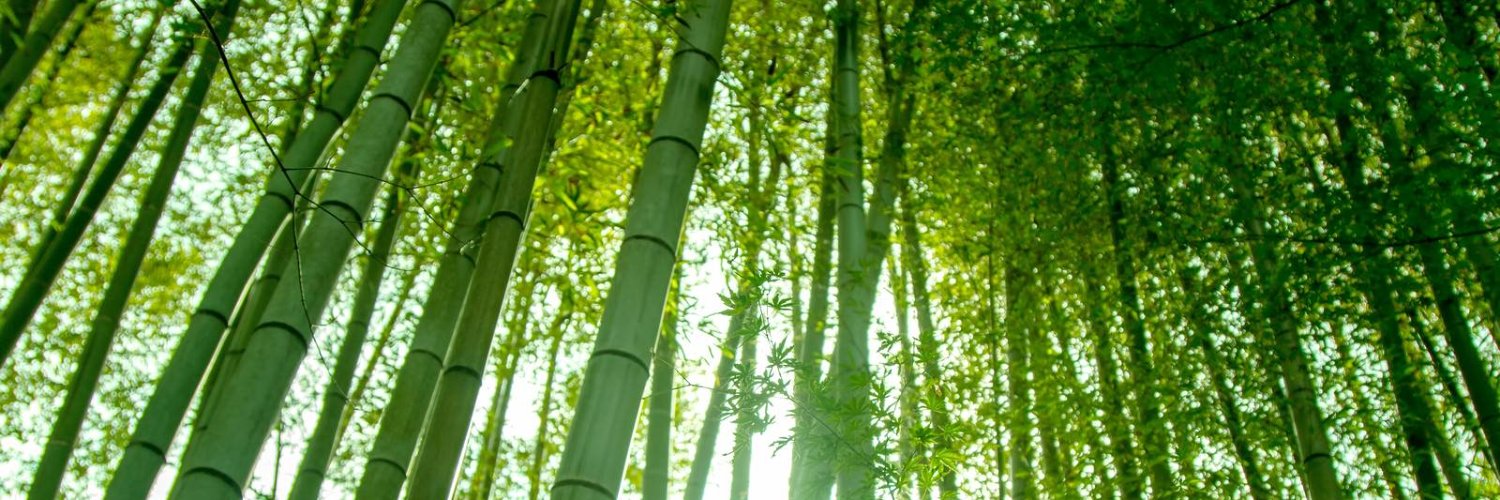 たけ banner