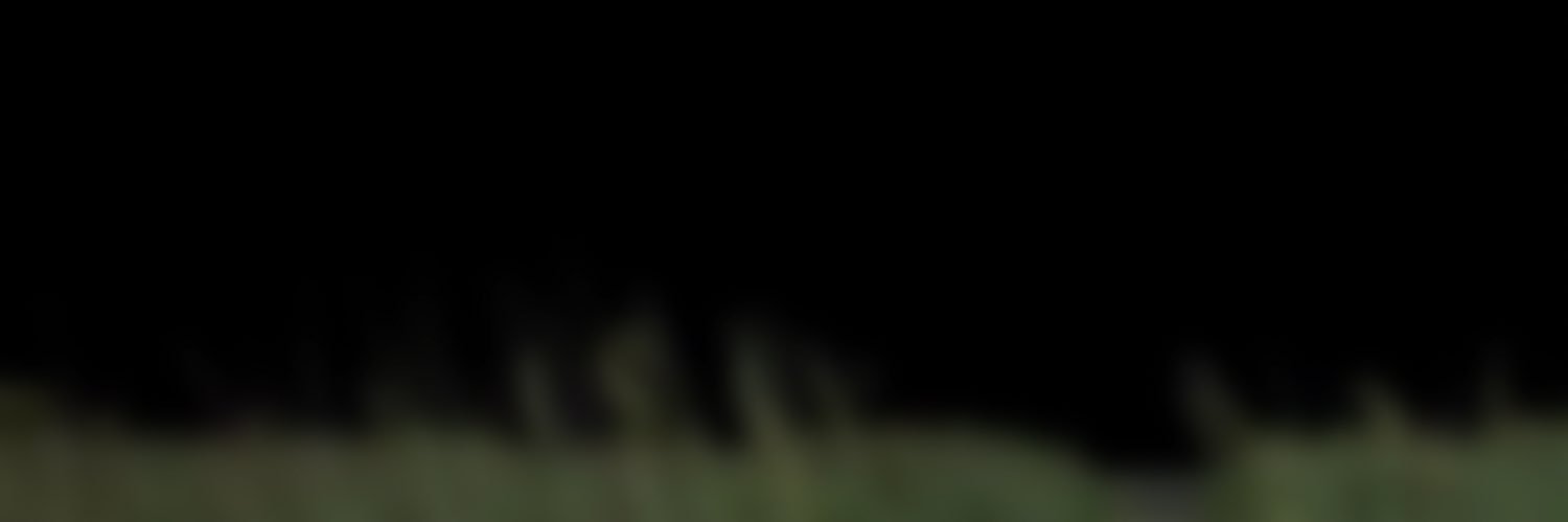 🝈's banner