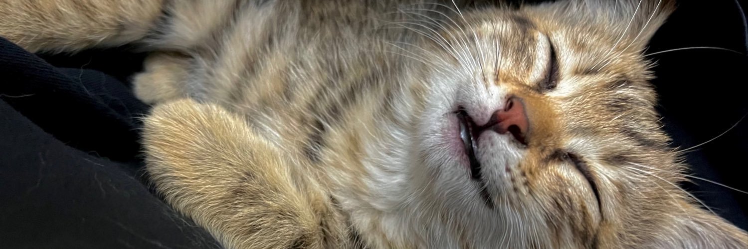 لبخَندِ کوچَك banner