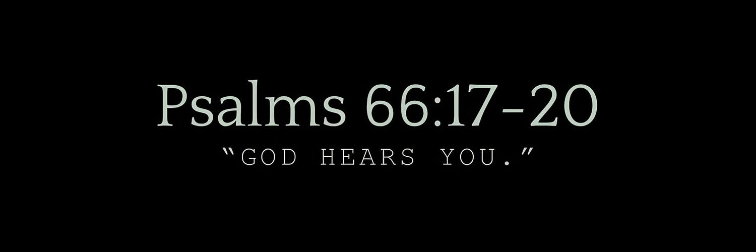 MONARCH 🥷🏻 banner