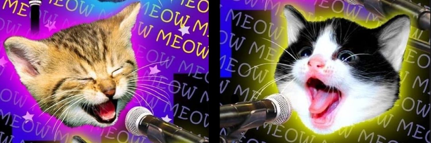 ShilohLongLegs's profile banner image